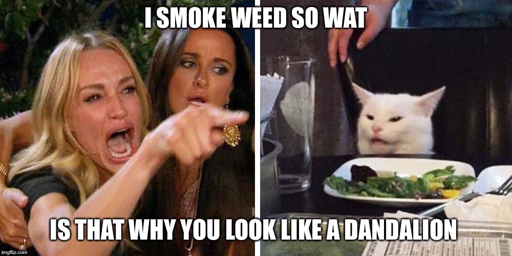 Smudge the cat | I SMOKE WEED SO WAT; IS THAT WHY YOU LOOK LIKE A DANDALION | image tagged in smudge the cat | made w/ Imgflip meme maker