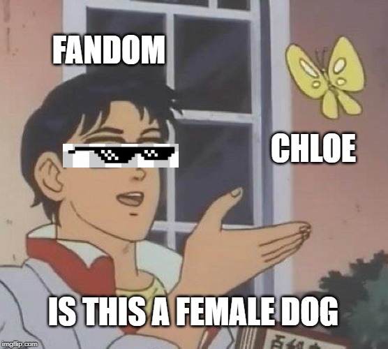 Is This A Pigeon | FANDOM; CHLOE; IS THIS A FEMALE DOG | image tagged in memes,is this a pigeon | made w/ Imgflip meme maker