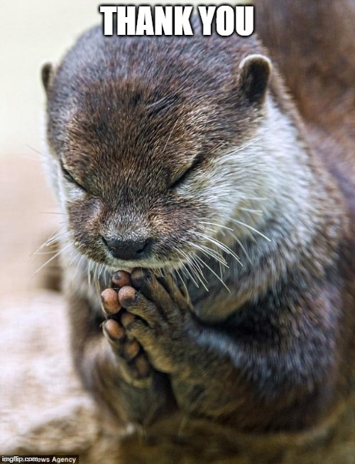 Thank you Lord Otter | THANK YOU | image tagged in thank you lord otter | made w/ Imgflip meme maker