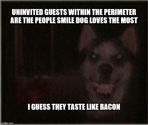 smile dog | UNINVITED GUESTS WITHIN THE PERIMETER ARE THE PEOPLE SMILE DOG LOVES THE MOST; I GUESS THEY TASTE LIKE BACON | image tagged in smile dog | made w/ Imgflip meme maker