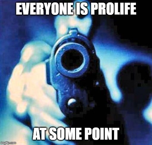 gun in face | EVERYONE IS PROLIFE; AT SOME POINT | image tagged in gun in face | made w/ Imgflip meme maker