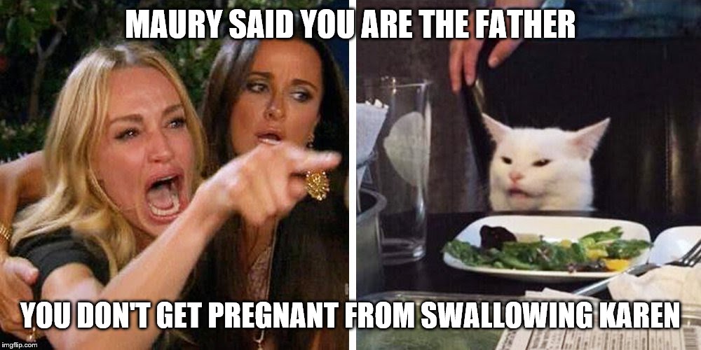 Smudge the cat | MAURY SAID YOU ARE THE FATHER; YOU DON'T GET PREGNANT FROM SWALLOWING KAREN | image tagged in smudge the cat | made w/ Imgflip meme maker
