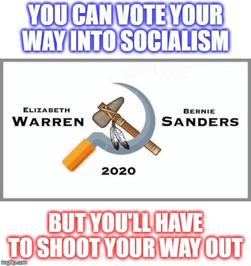 Heard this line on the Mark Levin show.  Spot on. | YOU CAN VOTE YOUR WAY INTO SOCIALISM; BUT YOU'LL HAVE TO SHOOT YOUR WAY OUT | image tagged in democratic socialism,bernie sanders,elizabeth warren,donald trump approves | made w/ Imgflip meme maker