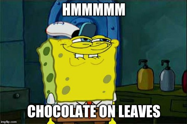 Don't You Squidward Meme | HMMMMM CHOCOLATE ON LEAVES | image tagged in memes,dont you squidward | made w/ Imgflip meme maker