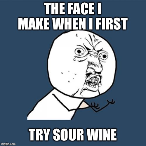 Y U No Meme | THE FACE I MAKE WHEN I FIRST; TRY SOUR WINE | image tagged in memes,y u no | made w/ Imgflip meme maker