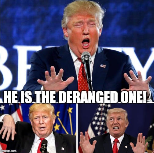 HE IS THE DERANGED ONE! | image tagged in derangeddonald | made w/ Imgflip meme maker