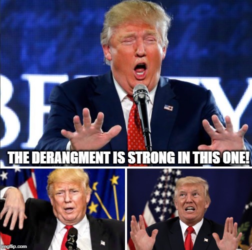 #DerangedDonald | THE DERANGMENT IS STRONG IN THIS ONE! | image tagged in derangeddonald | made w/ Imgflip meme maker