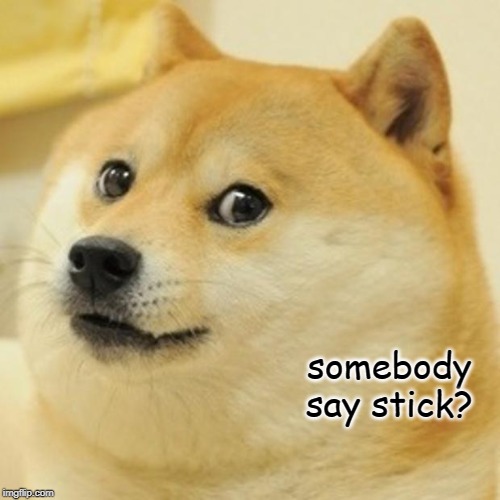 Doge Meme | somebody say stick? | image tagged in memes,doge | made w/ Imgflip meme maker