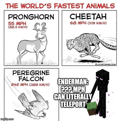 The world's fastest animals | ENDERMAN: ??? MPH

CAN LITERALLY TELEPORT | image tagged in the world's fastest animals | made w/ Imgflip meme maker