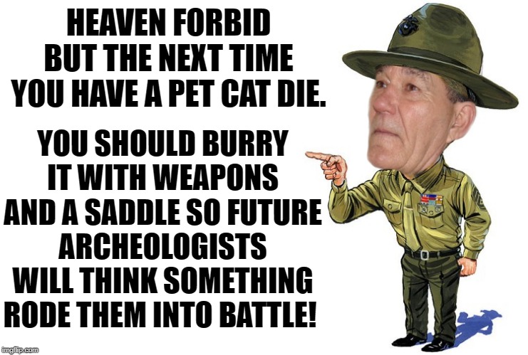 Calvary cats | HEAVEN FORBID BUT THE NEXT TIME YOU HAVE A PET CAT DIE. YOU SHOULD BURRY IT WITH WEAPONS AND A SADDLE SO FUTURE ARCHEOLOGISTS WILL THINK SOMETHING RODE THEM INTO BATTLE! | image tagged in sargent kewlew,calvary cats | made w/ Imgflip meme maker