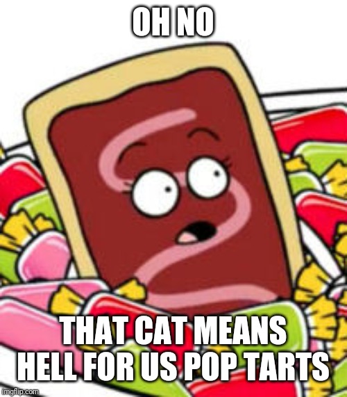 OH NO THAT CAT MEANS HELL FOR US POP TARTS | made w/ Imgflip meme maker