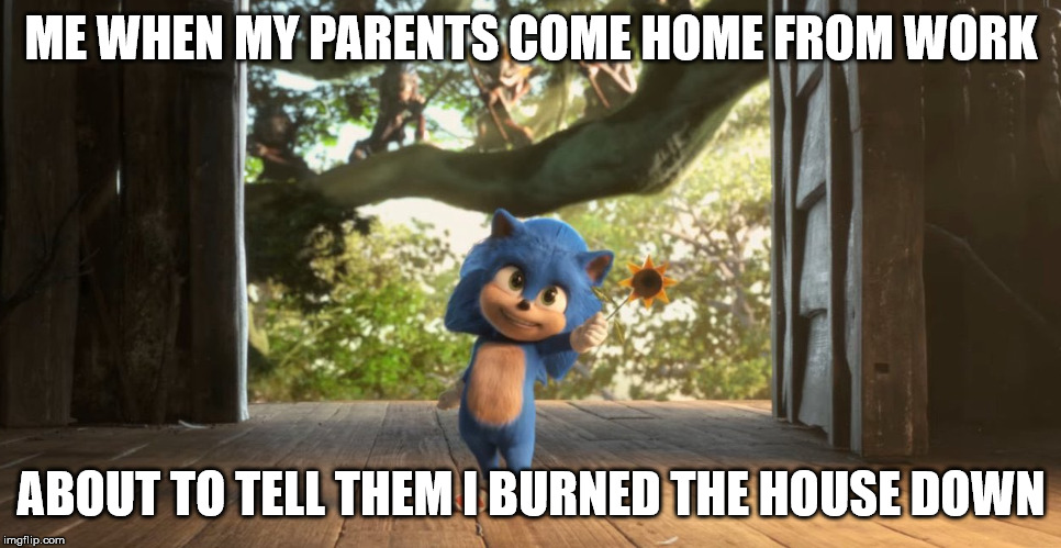 Baby Sonic | ME WHEN MY PARENTS COME HOME FROM WORK; ABOUT TO TELL THEM I BURNED THE HOUSE DOWN | image tagged in sonic the hedgehog,sonic movie | made w/ Imgflip meme maker