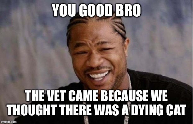 Yo Dawg Heard You Meme | YOU GOOD BRO THE VET CAME BECAUSE WE THOUGHT THERE WAS A DYING CAT | image tagged in memes,yo dawg heard you | made w/ Imgflip meme maker