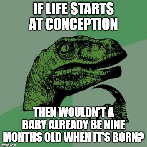 How old is a baby if it isn't born yet? | IF LIFE STARTS AT CONCEPTION; THEN WOULDN'T A BABY ALREADY BE NINE MONTHS OLD WHEN IT'S BORN? | image tagged in memes,philosoraptor | made w/ Imgflip meme maker