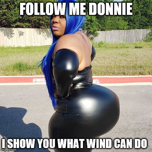 Big Booty Woman | FOLLOW ME DONNIE; I SHOW YOU WHAT WIND CAN DO | image tagged in big booty woman | made w/ Imgflip meme maker