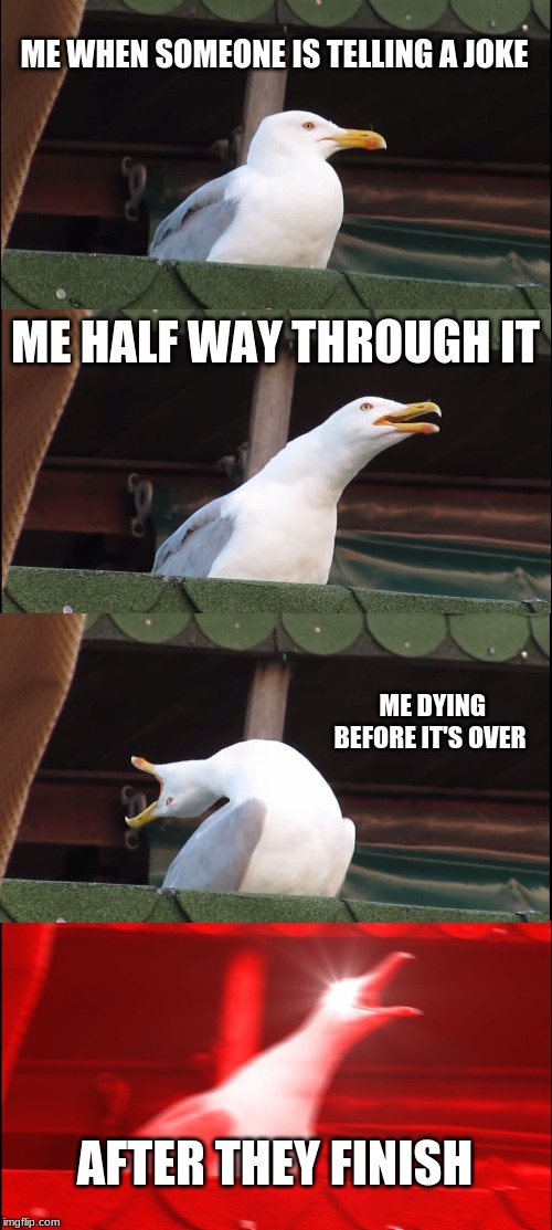 Inhaling Seagull | ME WHEN SOMEONE IS TELLING A JOKE; ME HALF WAY THROUGH IT; ME DYING BEFORE IT'S OVER; AFTER THEY FINISH | image tagged in memes,inhaling seagull | made w/ Imgflip meme maker