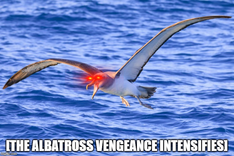 the albatross seeks its vengeance | [THE ALBATROSS VENGEANCE INTENSIFIES] | image tagged in the albatross seeks its vengeance | made w/ Imgflip meme maker