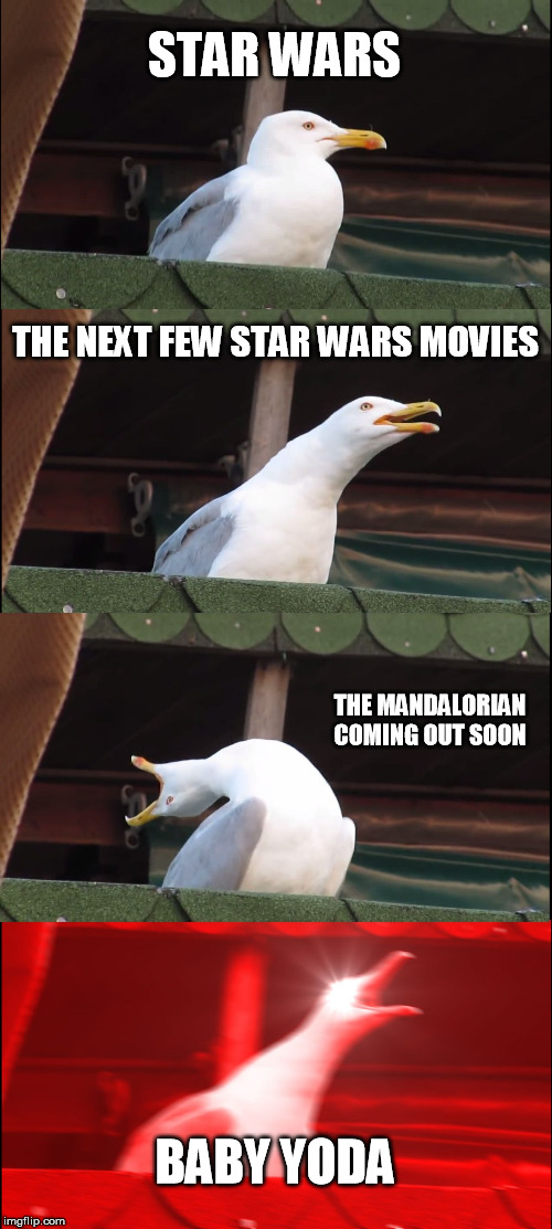 Inhaling Seagull | STAR WARS; THE NEXT FEW STAR WARS MOVIES; THE MANDALORIAN COMING OUT SOON; BABY YODA | image tagged in memes,inhaling seagull | made w/ Imgflip meme maker