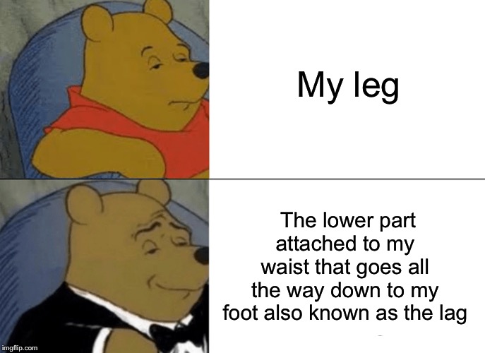 My leg | My leg; The lower part attached to my waist that goes all the way down to my foot also known as the lag | image tagged in memes,tuxedo winnie the pooh,fun | made w/ Imgflip meme maker