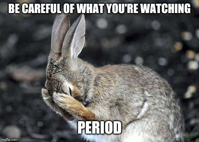 Bunny Hides | BE CAREFUL OF WHAT YOU'RE WATCHING PERIOD | image tagged in bunny hides | made w/ Imgflip meme maker