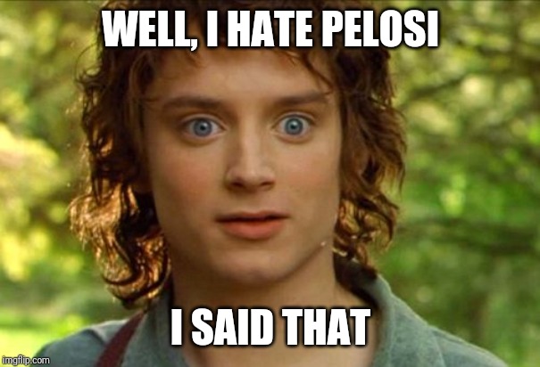 Surpised Frodo Meme | WELL, I HATE PELOSI I SAID THAT | image tagged in memes,surpised frodo | made w/ Imgflip meme maker