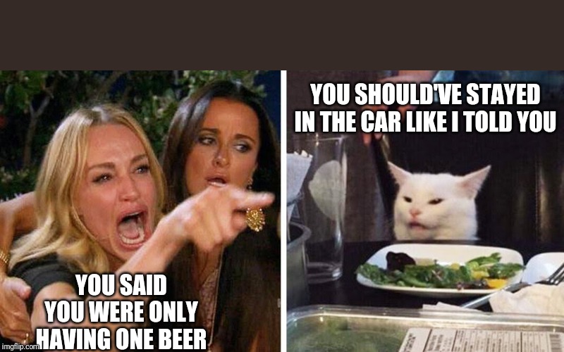 Smudge the cat | YOU SHOULD'VE STAYED IN THE CAR LIKE I TOLD YOU; YOU SAID YOU WERE ONLY HAVING ONE BEER | image tagged in smudge the cat | made w/ Imgflip meme maker