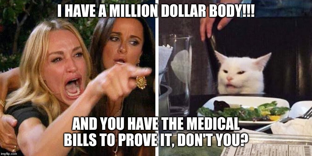 Smudge the cat | I HAVE A MILLION DOLLAR BODY!!! AND YOU HAVE THE MEDICAL BILLS TO PROVE IT, DON'T YOU? | image tagged in smudge the cat | made w/ Imgflip meme maker