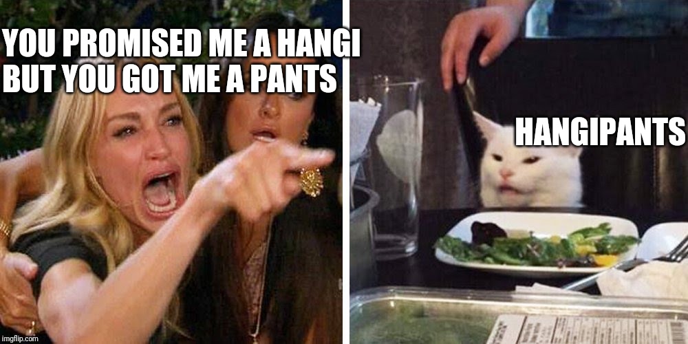 Smudge the cat | YOU PROMISED ME A HANGI 
BUT YOU GOT ME A PANTS; HANGIPANTS | image tagged in smudge the cat | made w/ Imgflip meme maker