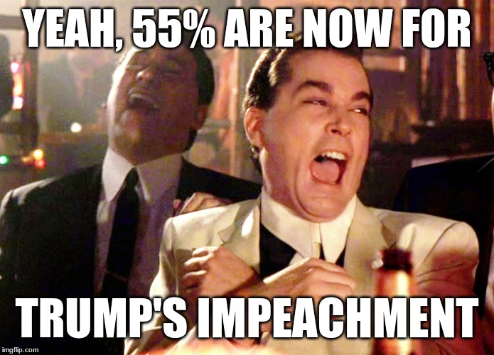Good Fellas Hilarious Meme | YEAH, 55% ARE NOW FOR TRUMP'S IMPEACHMENT | image tagged in memes,good fellas hilarious | made w/ Imgflip meme maker