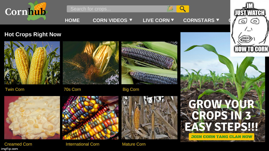 corn? | IM JUST WATCH; HOW TO CORN | image tagged in memes,funny,corn | made w/ Imgflip meme maker