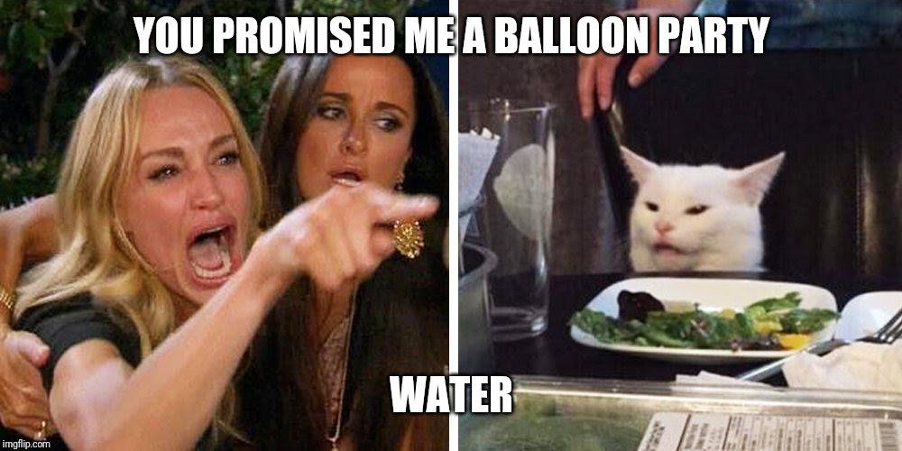 Smudge the cat | YOU PROMISED ME A BALLOON PARTY; WATER | image tagged in smudge the cat | made w/ Imgflip meme maker