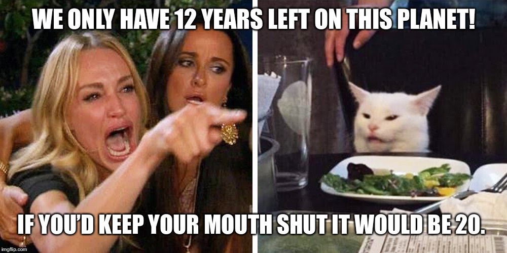 Smudge the cat | WE ONLY HAVE 12 YEARS LEFT ON THIS PLANET! IF YOU’D KEEP YOUR MOUTH SHUT IT WOULD BE 20. | image tagged in smudge the cat | made w/ Imgflip meme maker