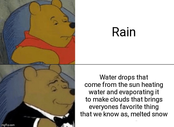 Tuxedo Winnie The Pooh | Rain; Water drops that come from the sun heating water and evaporating it to make clouds that brings everyones favorite thing that we know as, melted snow | image tagged in memes,tuxedo winnie the pooh | made w/ Imgflip meme maker