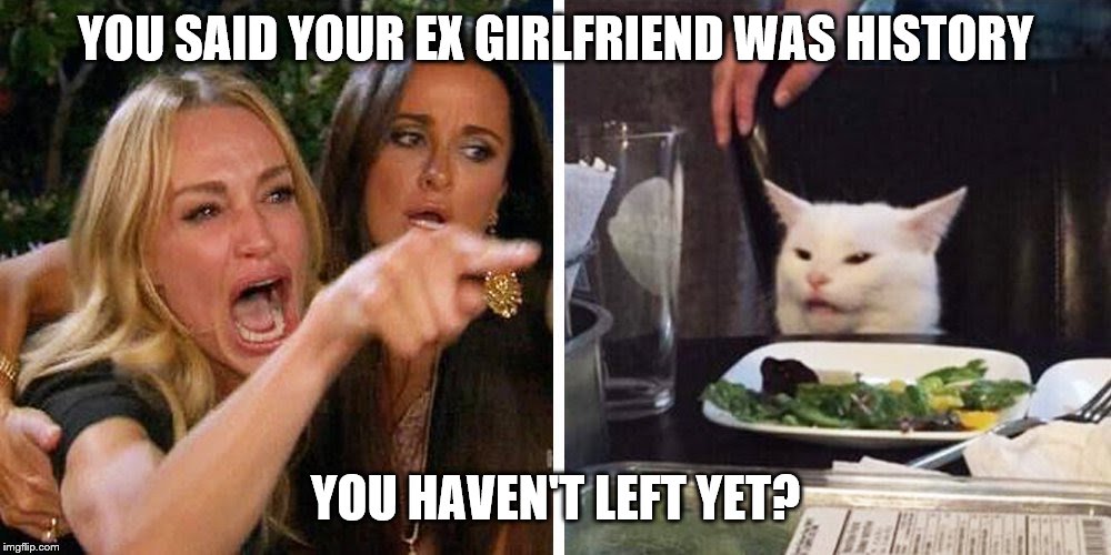 Smudge the cat | YOU SAID YOUR EX GIRLFRIEND WAS HISTORY; YOU HAVEN'T LEFT YET? | image tagged in smudge the cat | made w/ Imgflip meme maker
