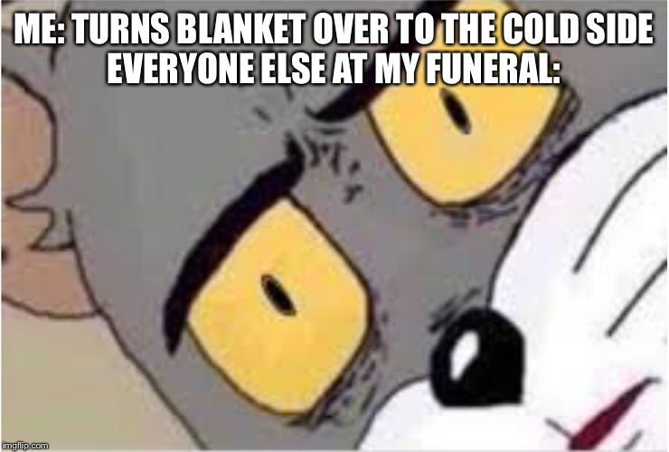 Confused Tom meme | ME: TURNS BLANKET OVER TO THE COLD SIDE

EVERYONE ELSE AT MY FUNERAL: | image tagged in confused tom meme | made w/ Imgflip meme maker