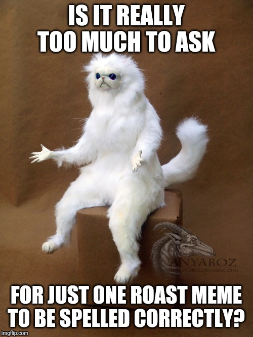 Sloppy social media | IS IT REALLY TOO MUCH TO ASK; FOR JUST ONE ROAST MEME TO BE SPELLED CORRECTLY? | image tagged in memes,persian cat room guardian single,social media | made w/ Imgflip meme maker