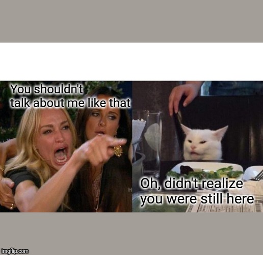 Woman Yelling At Cat Meme | You shouldn't talk about me like that; Oh, didn't realize you were still here | image tagged in memes,woman yelling at cat | made w/ Imgflip meme maker