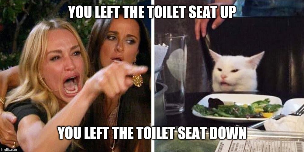Smudge the cat | YOU LEFT THE TOILET SEAT UP; YOU LEFT THE TOILET SEAT DOWN | image tagged in smudge the cat | made w/ Imgflip meme maker