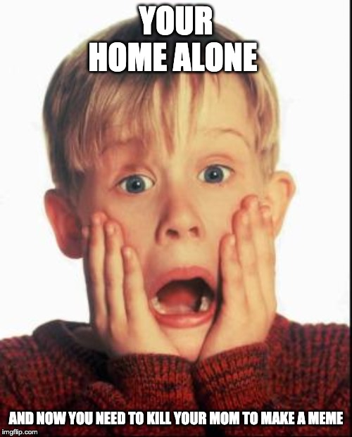 Home Alone Kid  | YOUR HOME ALONE; AND NOW YOU NEED TO KILL YOUR MOM TO MAKE A MEME | image tagged in home alone kid | made w/ Imgflip meme maker