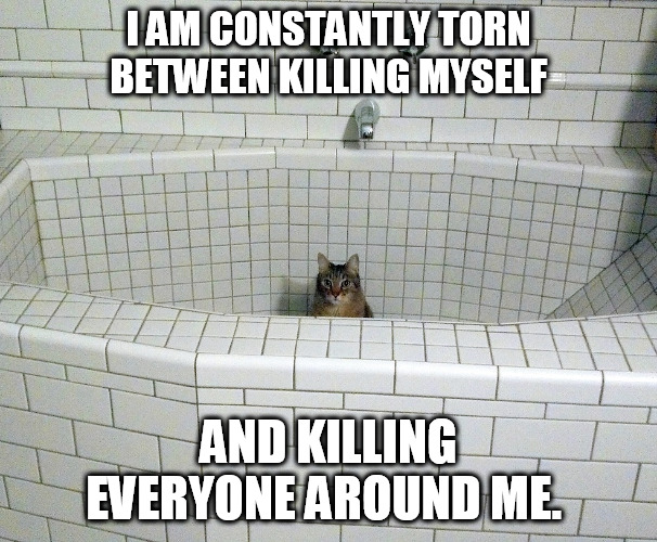 Nihilist Empty Bath Cat | I AM CONSTANTLY TORN BETWEEN KILLING MYSELF; AND KILLING EVERYONE AROUND ME. | image tagged in nihilist empty bath cat | made w/ Imgflip meme maker