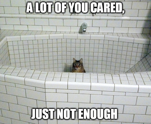 Nihilist Empty Bath Cat | A LOT OF YOU CARED, JUST NOT ENOUGH | image tagged in nihilist empty bath cat | made w/ Imgflip meme maker