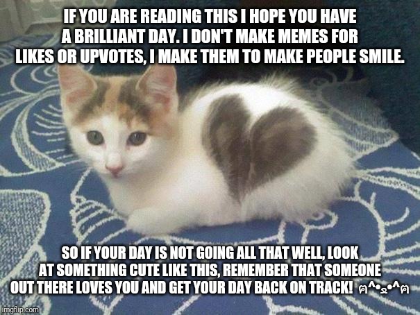 cute cat heart | IF YOU ARE READING THIS I HOPE YOU HAVE A BRILLIANT DAY. I DON'T MAKE MEMES FOR LIKES OR UPVOTES, I MAKE THEM TO MAKE PEOPLE SMILE. SO IF YOUR DAY IS NOT GOING ALL THAT WELL, LOOK AT SOMETHING CUTE LIKE THIS, REMEMBER THAT SOMEONE OUT THERE LOVES YOU AND GET YOUR DAY BACK ON TRACK!  ฅ^•ﻌ•^ฅ | image tagged in cute cat heart | made w/ Imgflip meme maker