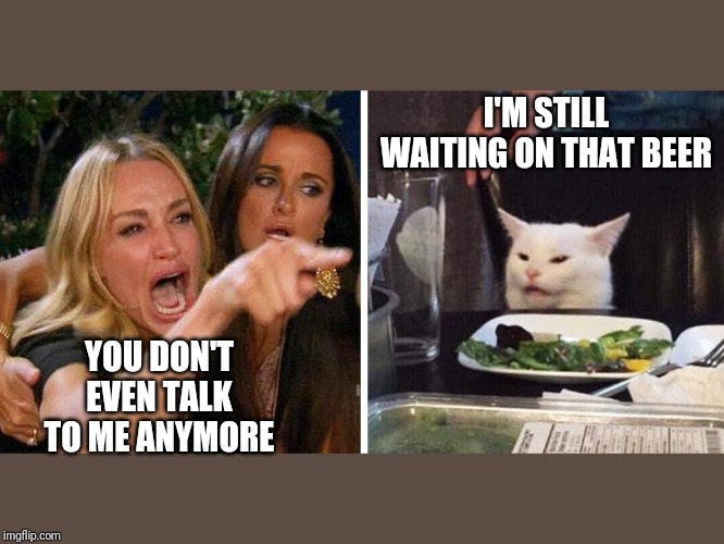 Smudge the cat | I'M STILL WAITING ON THAT BEER; YOU DON'T EVEN TALK TO ME ANYMORE | image tagged in smudge the cat | made w/ Imgflip meme maker