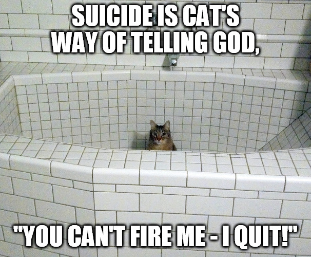 Nihilist Empty Bath Cat | SUICIDE IS CAT'S WAY OF TELLING GOD, "YOU CAN'T FIRE ME - I QUIT!" | image tagged in nihilist empty bath cat | made w/ Imgflip meme maker