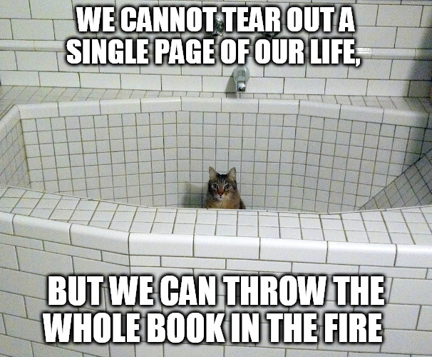 Nihilist Empty Bath Cat | WE CANNOT TEAR OUT A SINGLE PAGE OF OUR LIFE, BUT WE CAN THROW THE WHOLE BOOK IN THE FIRE | image tagged in nihilist empty bath cat | made w/ Imgflip meme maker