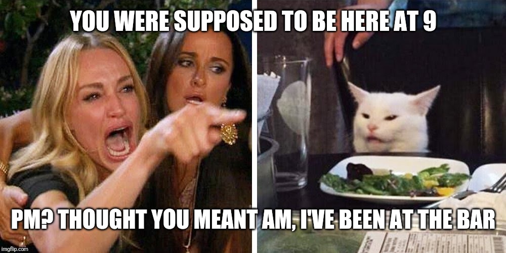 Smudge the cat | YOU WERE SUPPOSED TO BE HERE AT 9; PM? THOUGHT YOU MEANT AM, I'VE BEEN AT THE BAR | image tagged in smudge the cat | made w/ Imgflip meme maker