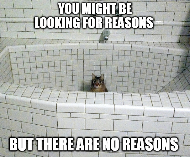 Nihilist Empty Bath Cat | YOU MIGHT BE LOOKING FOR REASONS; BUT THERE ARE NO REASONS | image tagged in nihilist empty bath cat | made w/ Imgflip meme maker
