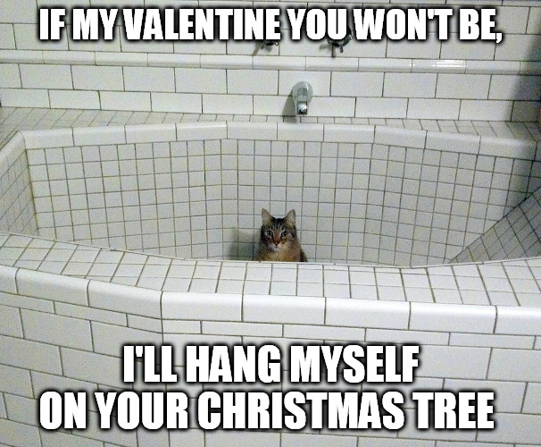 Nihilist Empty Bath Cat | IF MY VALENTINE YOU WON'T BE, I'LL HANG MYSELF ON YOUR CHRISTMAS TREE | image tagged in nihilist empty bath cat | made w/ Imgflip meme maker