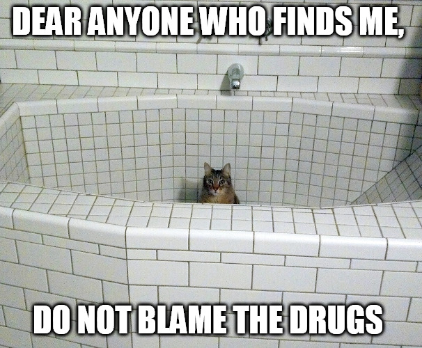 Nihilist Empty Bath Cat | DEAR ANYONE WHO FINDS ME, DO NOT BLAME THE DRUGS | image tagged in nihilist empty bath cat | made w/ Imgflip meme maker
