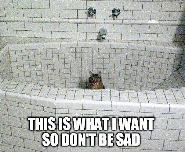 Nihilist Empty Bath Cat | THIS IS WHAT I WANT 
SO DON'T BE SAD | image tagged in nihilist empty bath cat | made w/ Imgflip meme maker